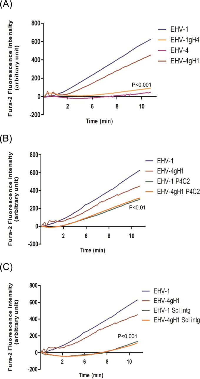 FIG 2 