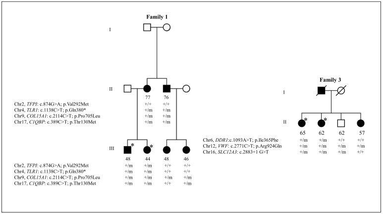 Fig 3