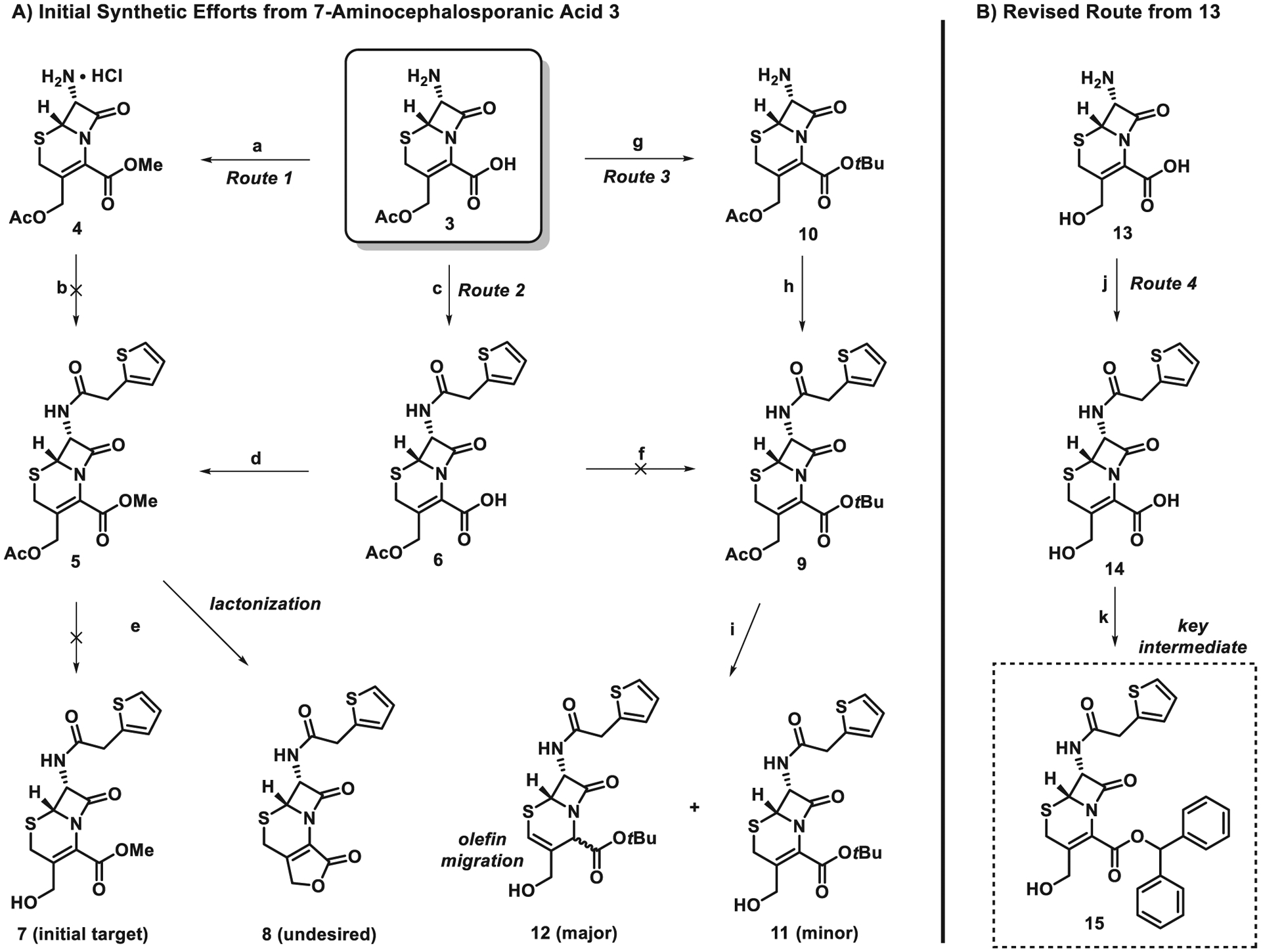 Scheme 1.