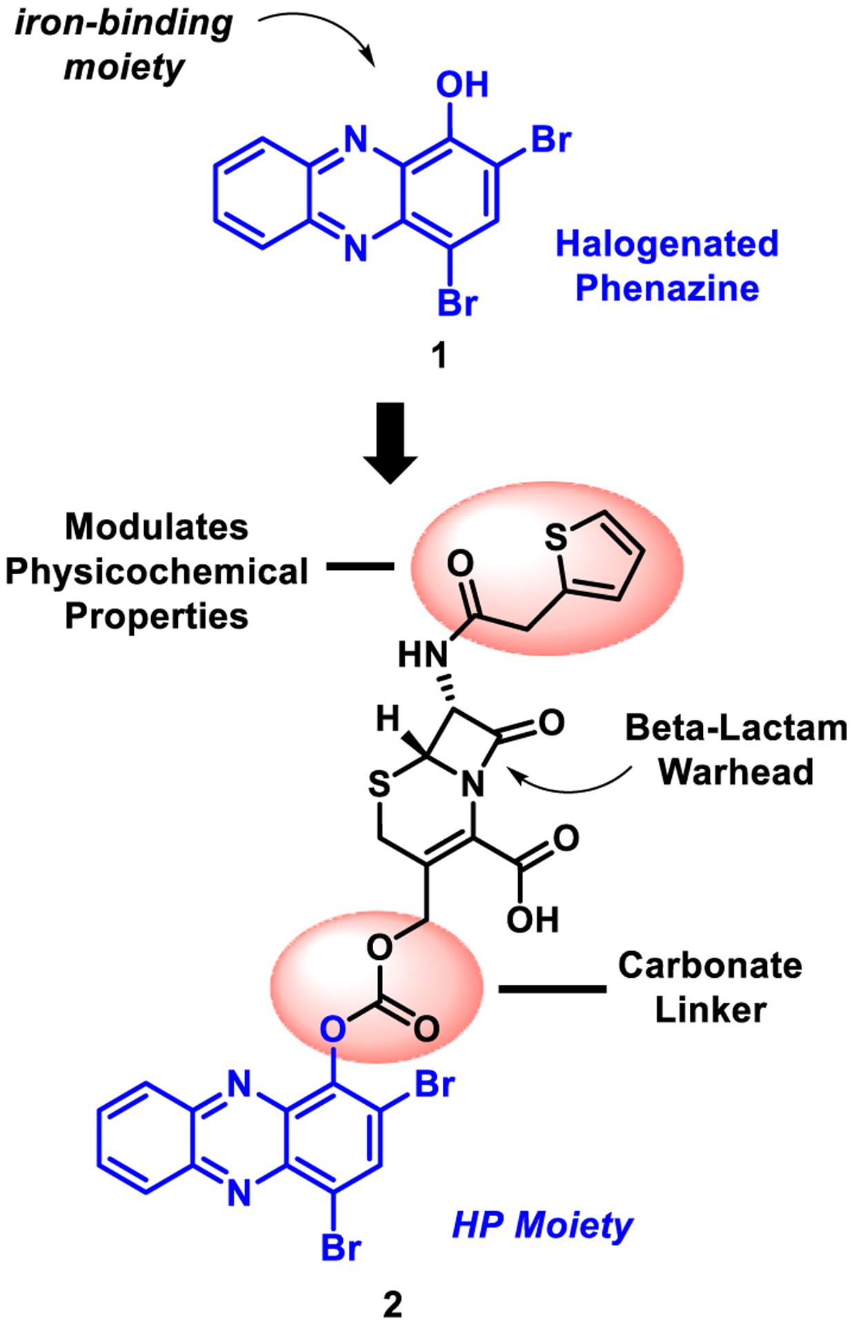 Fig. 1.