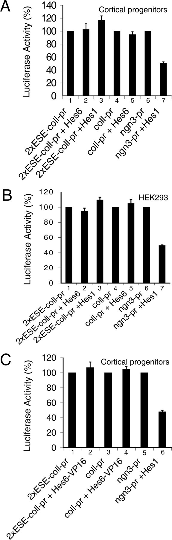 Figure 6.