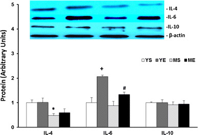 Fig. 8