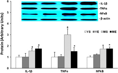 Fig. 7