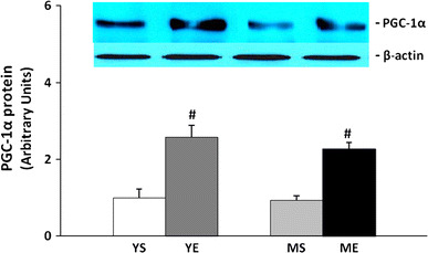 Fig. 10