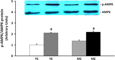 Fig. 9