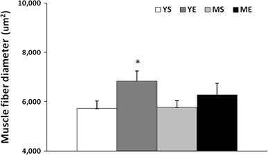 Fig. 5