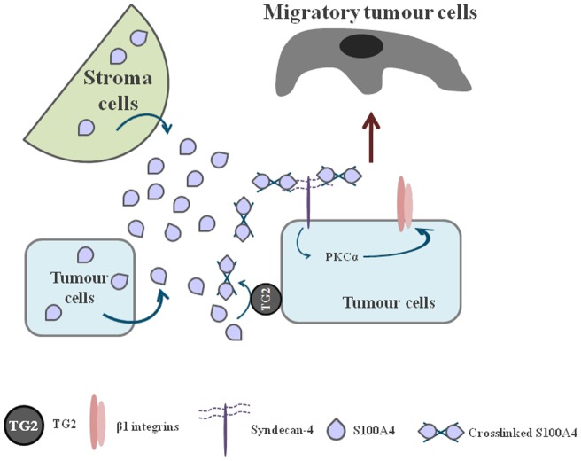 Figure 12