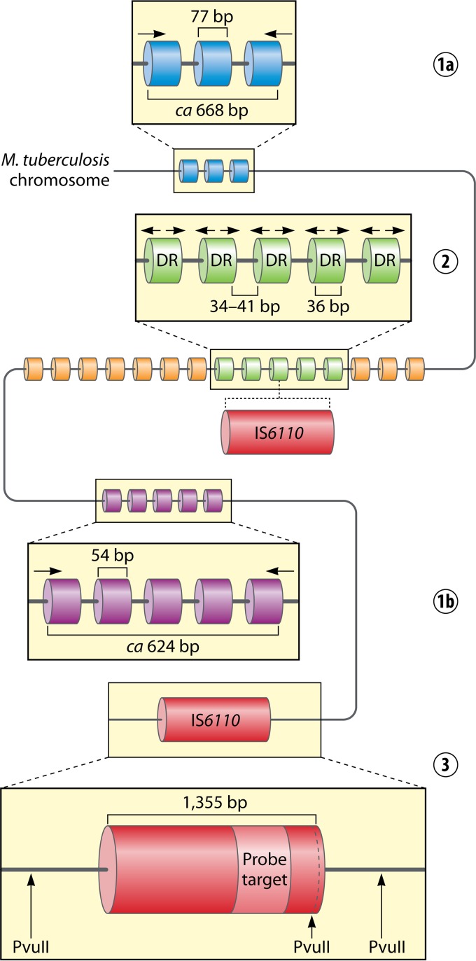 FIG 1