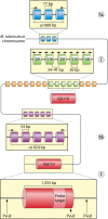 FIG 1