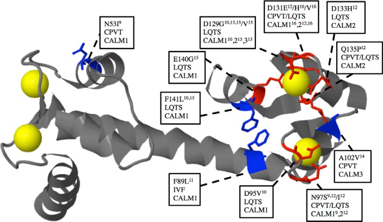 FIGURE 1.