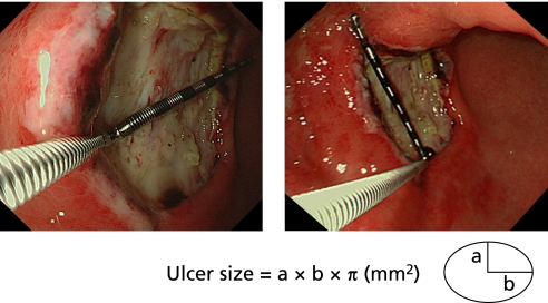 Fig. 4