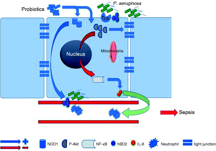 Figure 6.