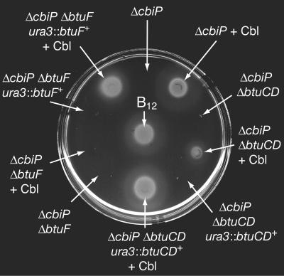 FIG. 5.