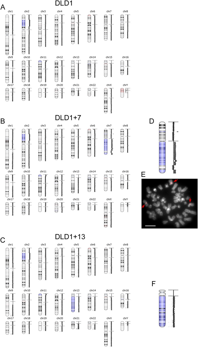 Figure 1—figure supplement 1.