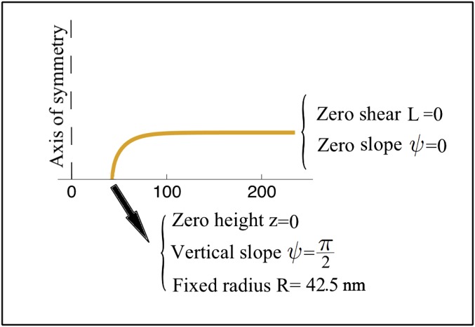 Fig. S1.