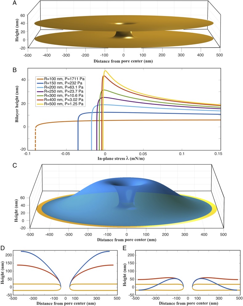 Fig. 3.