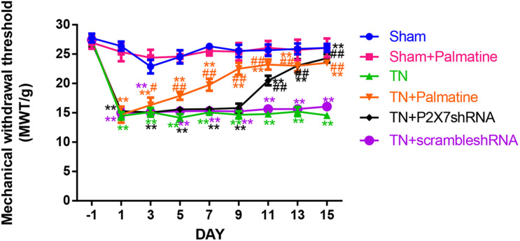 FIGURE 1