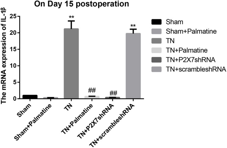 FIGURE 3