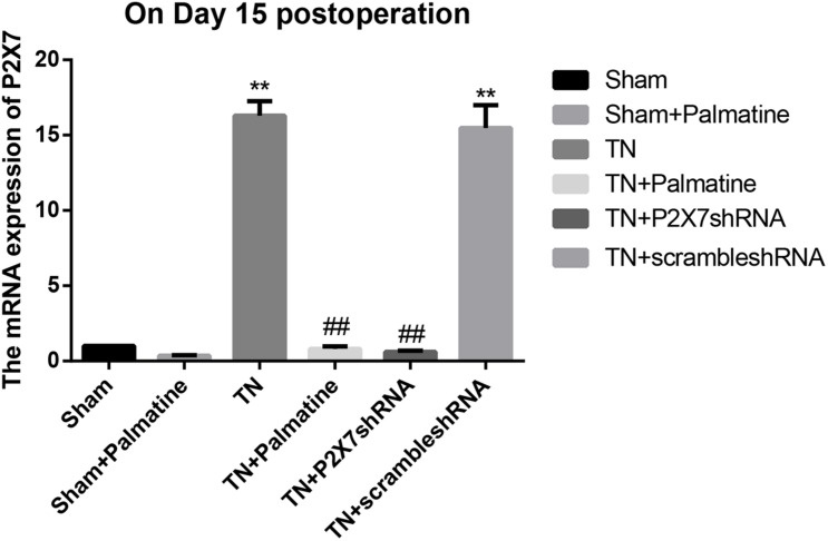 FIGURE 2