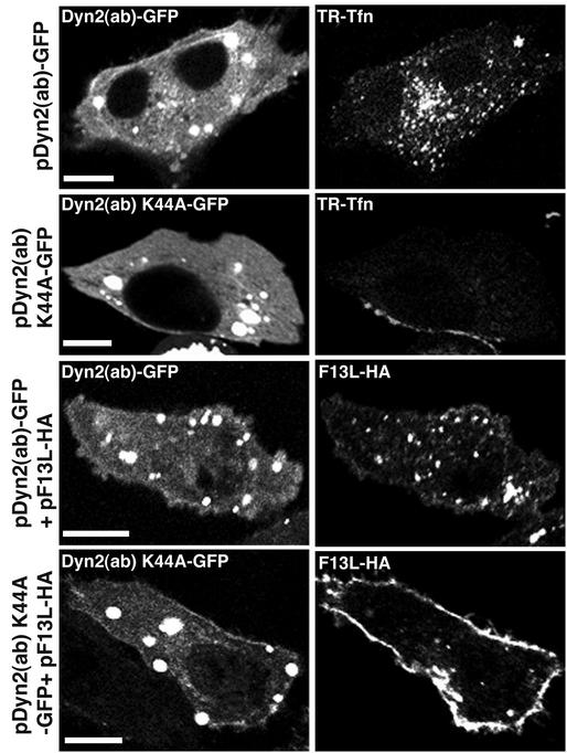 FIG. 4.