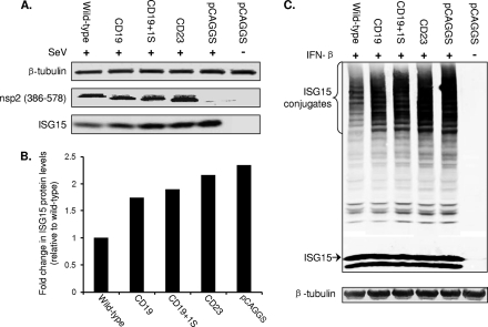 Fig 8