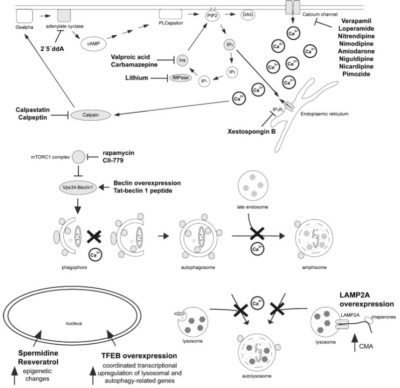 Fig. (3)