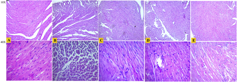 Fig. 3