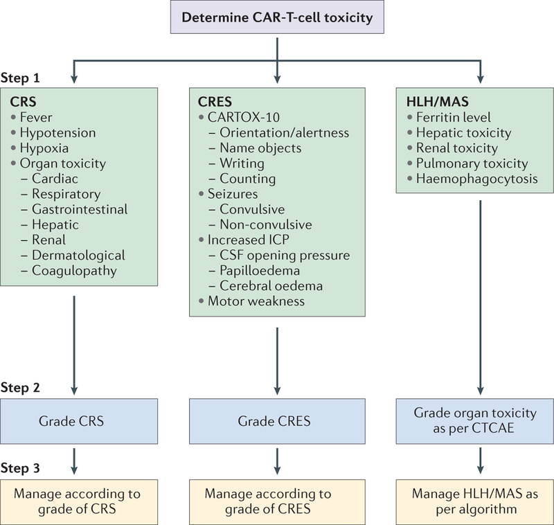 Figure 2 |