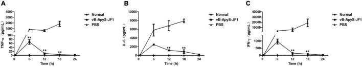 FIGURE 9