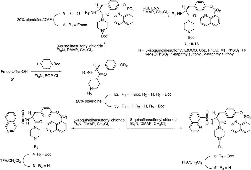 Fig. 2