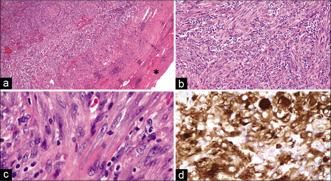 Figure 3: