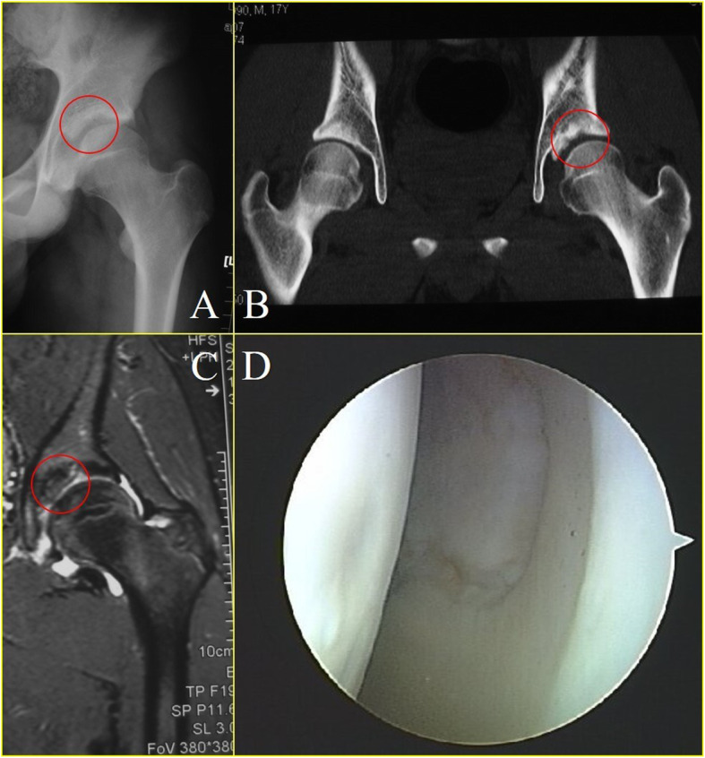 Fig. 5