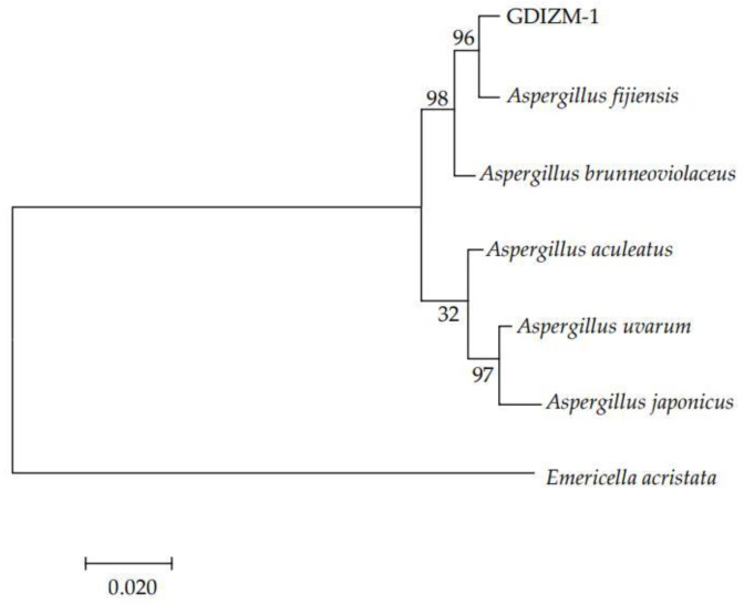 Figure 4