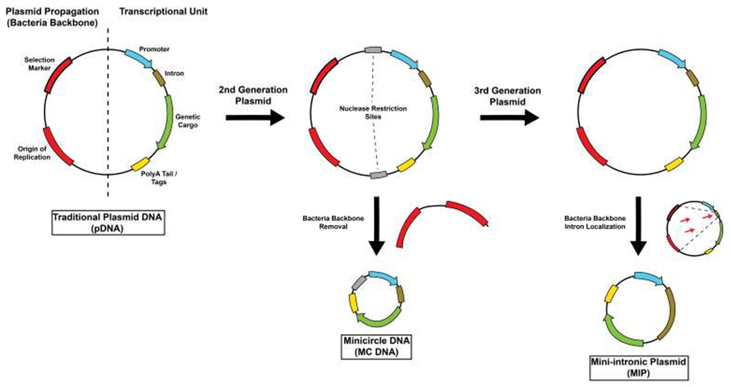 Figure 3.