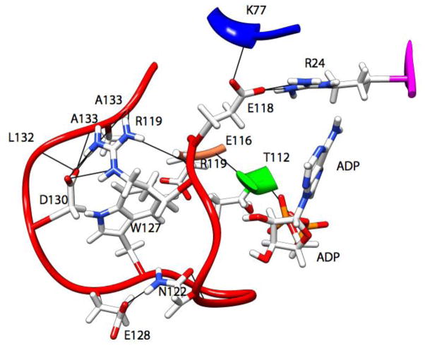 Figure 7