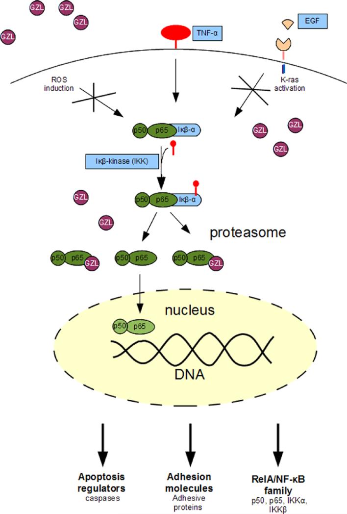 Fig. 10