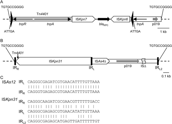 FIG 1