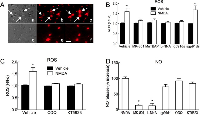 Figure 6.