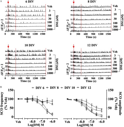 Figure 3A comprises four graphs measuring representative traces of SCOs at 6, 8, 10, and 12 DIVs neurons, plotting the addition of V e h or different concentrations of deltamethrin at 3, 10, 30, 100, 300, and 1000 nanomolars (right y-axis) across time at 0, 300, 600, 900, 1,200, and 1,500 seconds (x-axis). Figure 3B are two graphs plotting deltamethrin-altered SCO frequency and deltamethrin-altered SCO amplitude on left y-axis and right y-axis, respectively, with addition of V e h at 0, 50, 100, and 150 percent across V e h Log (deltamethrin) molar at negative 8.0, negative 7.0, and negative 6.0 (x-axis), representing data as standard error of mean.