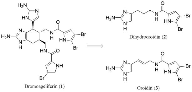 Fig. 5