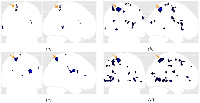 Fig 10