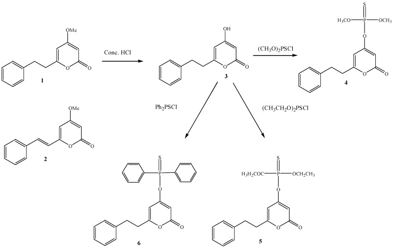 Scheme 2