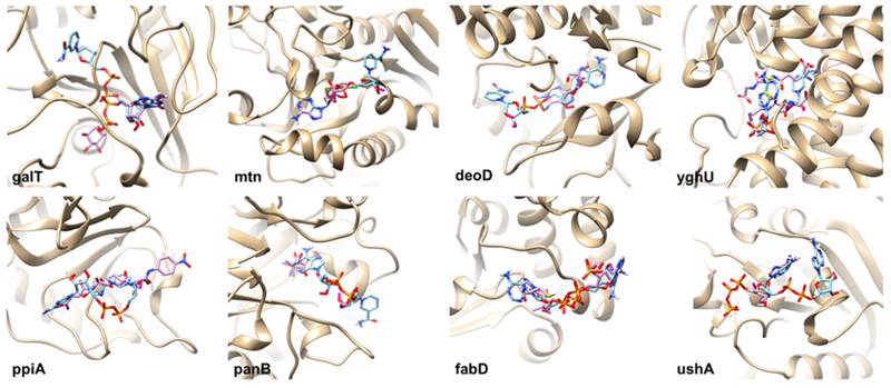 Figure 5.