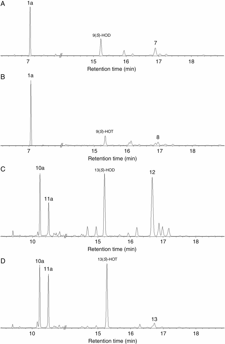 Fig. 8.