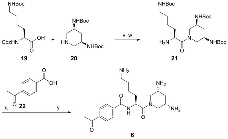 Scheme 3