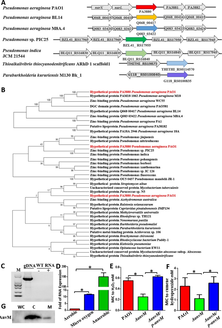 FIG 1