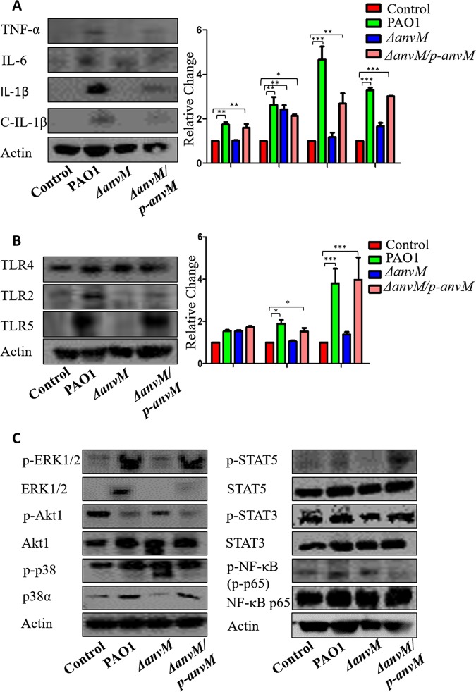 FIG 4