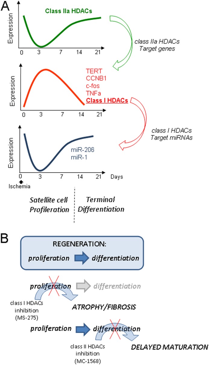 FIGURE 10.