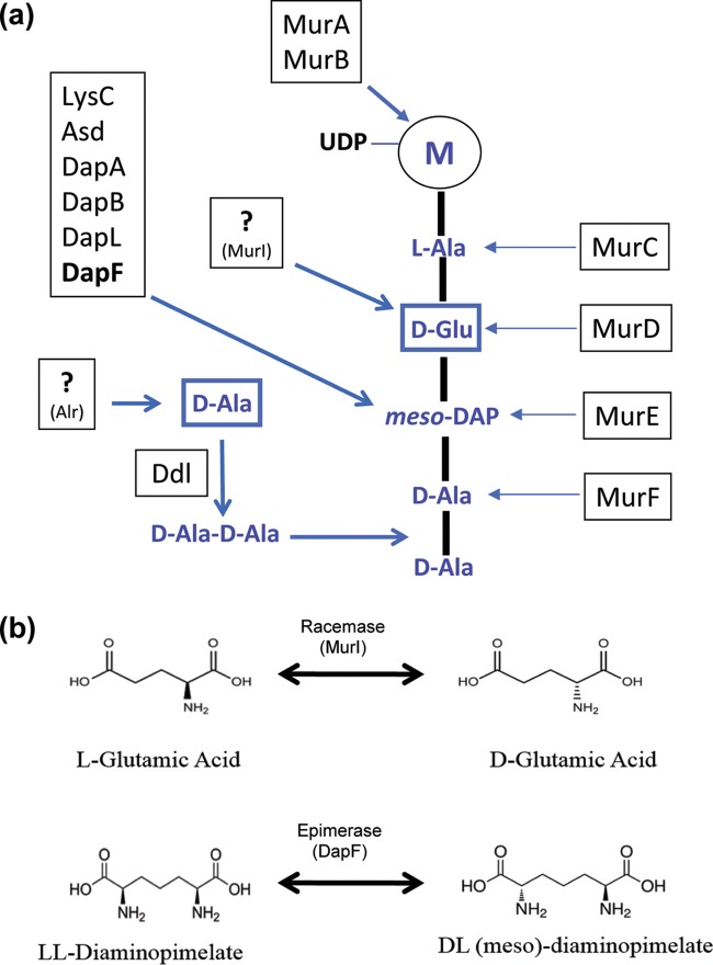 FIG 1 