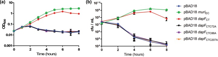 FIG 6 